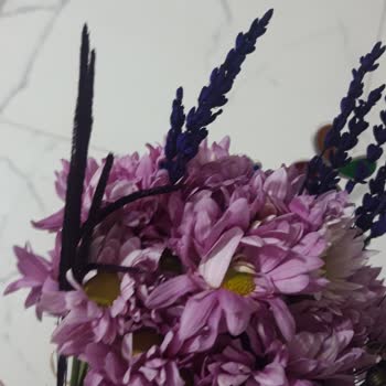 Görselden Farklı, Solmuş Ve Kırık Çiçek Teslimatı Hayal Kırıklığı Yarattı