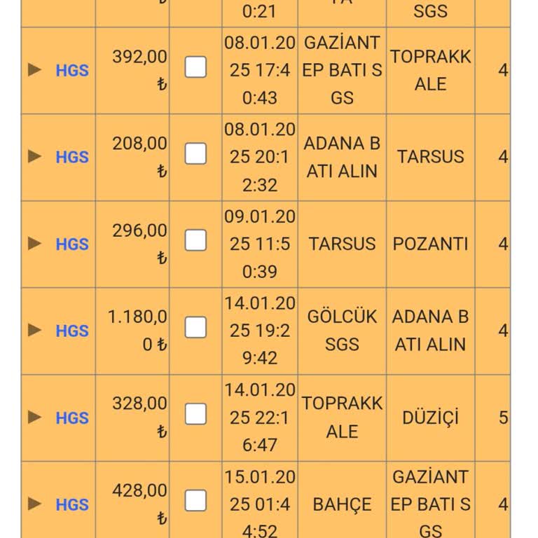 HGS Sistem Hatası Nedeniyle Haksız Kaçak Geçiş Ve Fahiş Ceza Mağduriyeti