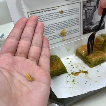 Fakı Mehmet Efendi Baklavadan Çıkan Fıstık Kabuğu Sağlığımı Riske Attı