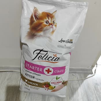 Aldığım Kedi Mamasını Hiçbir Kedi Yemedi, Kalitesinden Endişeliyim