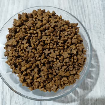 Aldığım Kedi Mamasını Hiçbir Kedi Yemedi, Kalitesinden Endişeliyim