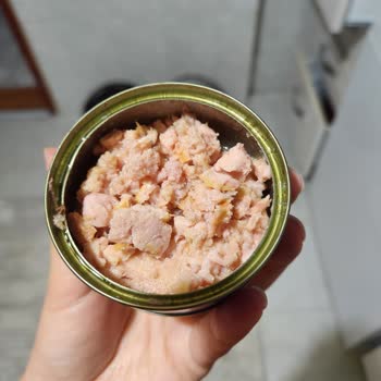 Ton Balığı Konservesinde Sağlıksız Görüntü Ve Sarılık Endişesi