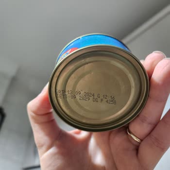 Ton Balığı Konservesinde Sağlıksız Görüntü Ve Sarılık Endişesi