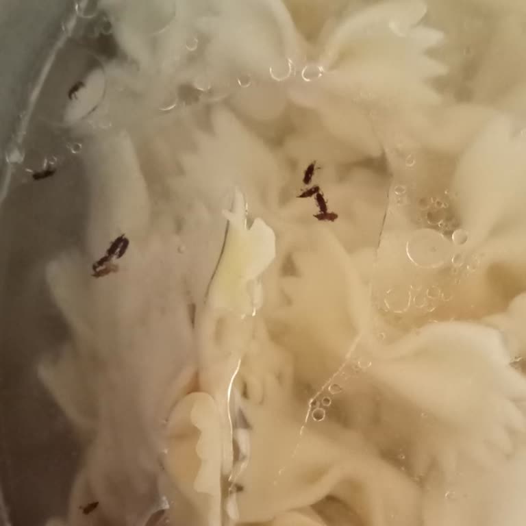 Makarnada Böcek Çıkması Nedeniyle Güven Kaybı Ve Hayal Kırıklığı