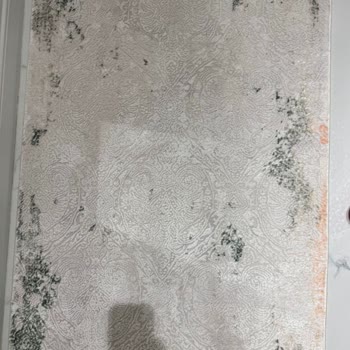 Aygül Halı Yıkama Mağduriyeti