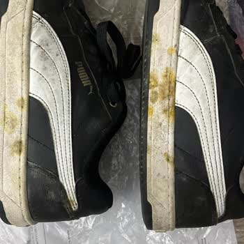 Gencallar Değişim Ve İnceleme Sıkıntısı!