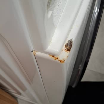 Samsung Çamaşır Makinesinde Kısa Sürede Paslanma Sorunu