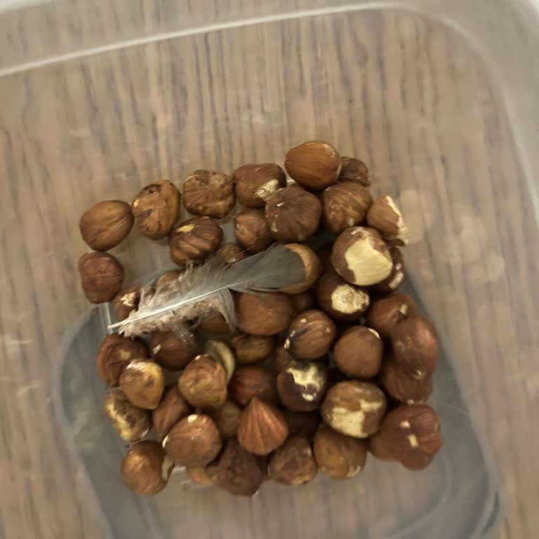 Aldığım Fındıktan Kuş Tüyü Çıktı Hijyen Sorunu Yaşadım