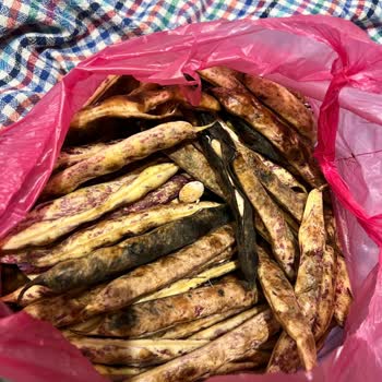 Hızlı Kargo Vaadiyle Gönderilen Ürünler Geç Teslim Edildi Ve Bozuldu