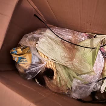 Hızlı Kargo Vaadiyle Gönderilen Ürünler Geç Teslim Edildi Ve Bozuldu