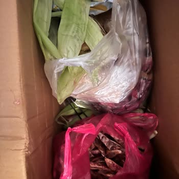 Hızlı Kargo Vaadiyle Gönderilen Ürünler Geç Teslim Edildi Ve Bozuldu