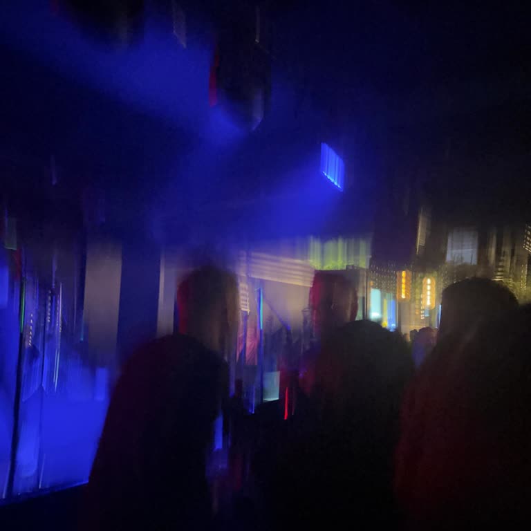 Holly Stone Adana Konserinde Zorunlu İçecek Ve VIP Sorunu