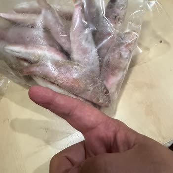 Siparişimdeki Balıklar Görselle Uyuşmadı Ve Şikayetim Dikkate Alınmadı