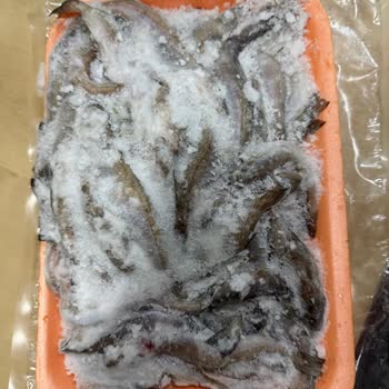 Siparişimdeki Balıklar Görselle Uyuşmadı Ve Şikayetim Dikkate Alınmadı