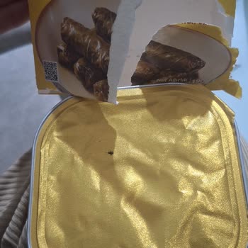 Zeytinyağlı Yaprak Sarmadan Böcek Ve Sert Yabancı Madde Çıktı