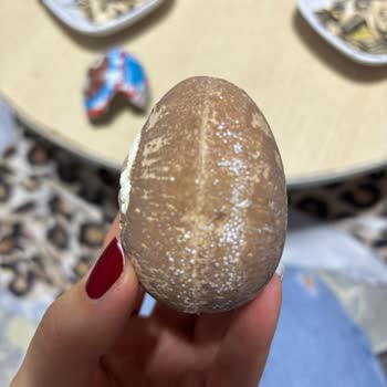 Son Kullanma Tarihi Geçmemiş Üründe Küf Şoku Ve Hayal Kırıklığı