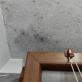 Sorun Çözülmedi, Yanlış Bilgi Ve Ekstra Ücret Talepleriyle Mağduriyet Yaşadım