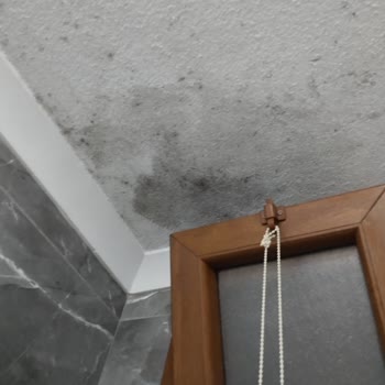 Sorun Çözülmedi, Yanlış Bilgi Ve Ekstra Ücret Talepleriyle Mağduriyet Yaşadım