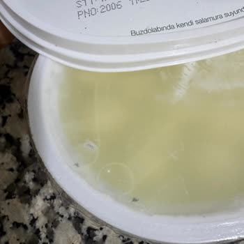 Tarihi Geçmemiş Peynirin Küflü Çıkması Ve Mağduriyet