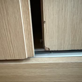 Düzen Nakliyat | Ankara Mağduriyeti