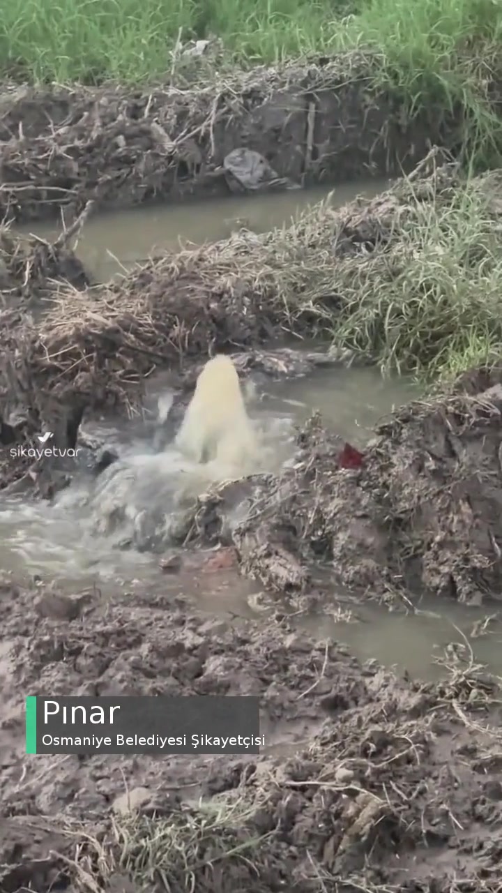 Osmaniye Belediyesi Gebeli Mahallesinin Hali! videonun kapak resmi