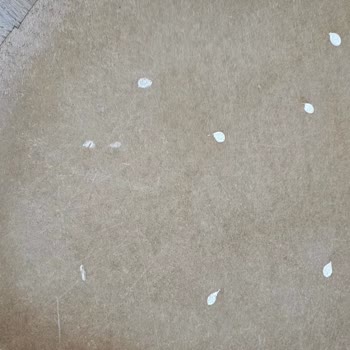 Düşen Ayna Nedeniyle Yaşadığımız Tehlike Ve İlgisizlik