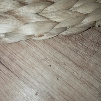 Bambu Servislerde Böceklenme Nedeniyle Hijyen Endişesi Ve Çözüm Talebi