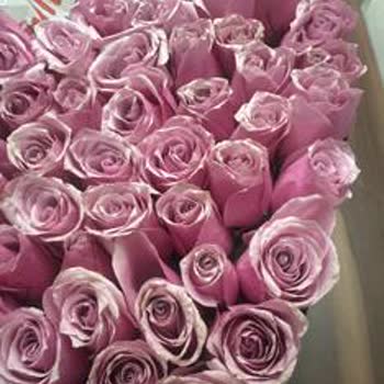 Bozuk Ve Solmuş Çiçek, İlgisiz Müşteri Hizmetleriyle Özel Günüm Mahvoldu