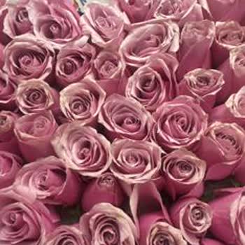 Bozuk Ve Solmuş Çiçek, İlgisiz Müşteri Hizmetleriyle Özel Günüm Mahvoldu