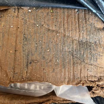 Siparişim Geç Ve Hasarlı Teslim Edildi Müşteri Desteği Yetersizdi