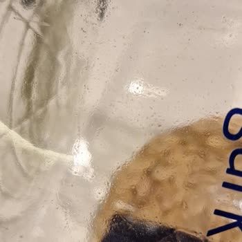 Cam Damacana Suda Çamur Ve Yosun Şoku Güvenim Sarsıldı