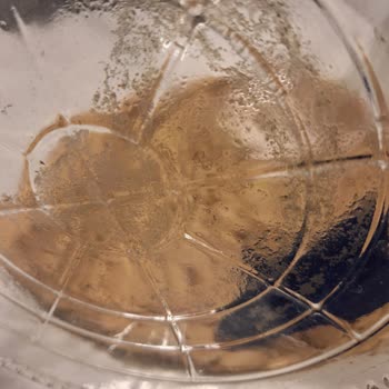 Cam Damacana Suda Çamur Ve Yosun Şoku Güvenim Sarsıldı