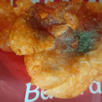 Küflü Ve Yumuşamış Cips Nedeniyle Çocuğumun Sağlığı Tehlikeye Girdi