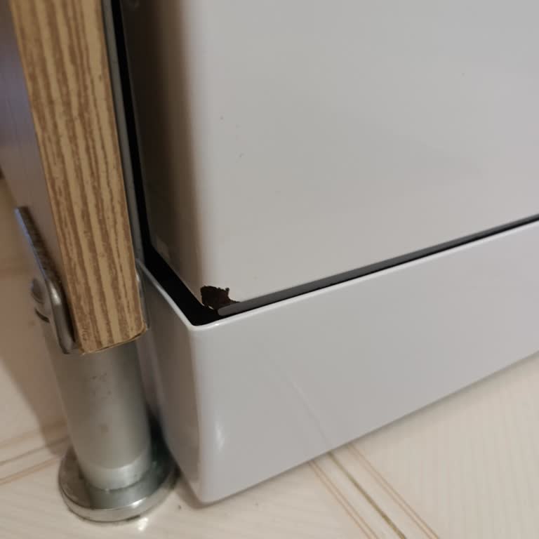 Arçelik Bulaşık Makinesinde Sürekli Arıza Ve Paslanma Sorunu