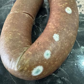 Satın Aldığım Sucuk 2 Gün İçinde Küflendi, Gıda Güvenliği Endişesi Yaşıyorum