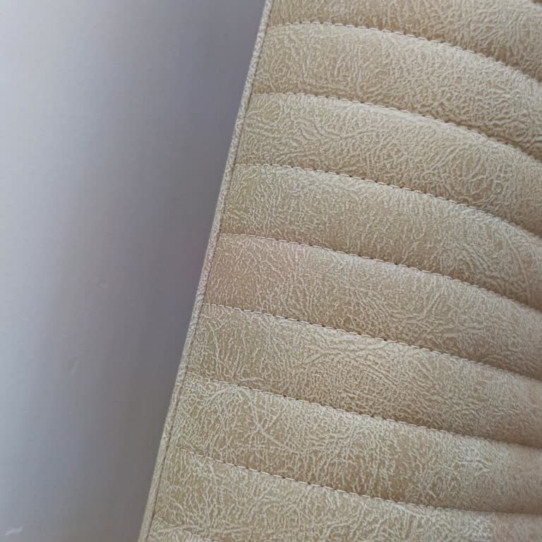 Koltuk Takımında Erken Renk Değişimi Ve Çözümsüzlük Mağduriyeti