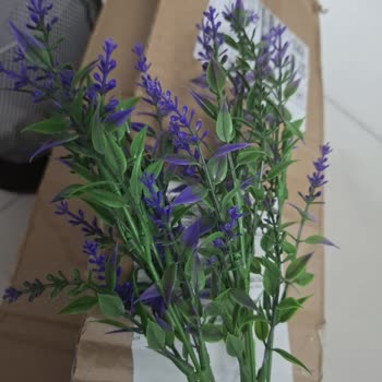 Yanıltıcı Ürün Ve Çözümsüz İade Süreci Mağduriyeti