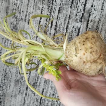 Kırık Ürün, Yanlış Gönderim Ve İade Sorunu: Migros Hemen Hayal Kırıklığı