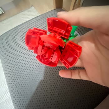 I’m Asking for a Replacement After My LEGO Roses Set Arrived Faulty