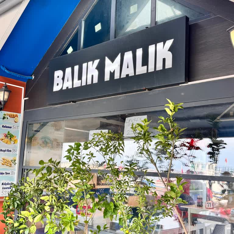 Balık Malık | Burhaniye Balık Ekmekte Canlı Salyangoz Ve Çalışanların İlgisiz Tavrı!