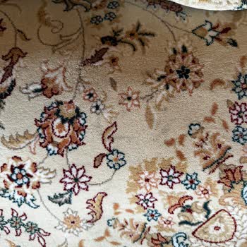 Halılar Kirli Ve Kötü Kokulu Teslim Edildi, Firma İlgilenmedi