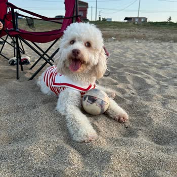 Yanlış Dikilen Özel Tasarım Kıyafet Ve İletişimsizlik Mağduriyeti