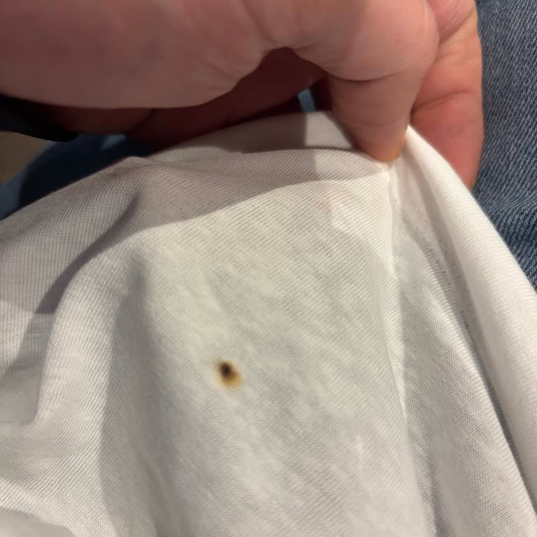 British American Tobacco | Bat Kent D-Range Blue Sigaralarda Odunsu Parçalar