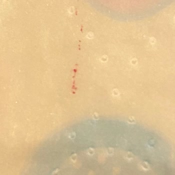 Orkid Pedde Pembe Boya Ve Müşteri Hizmetlerinden Yanıt Alamadım