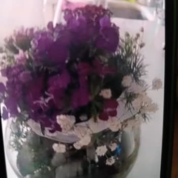 Siparişim Görsele Uygun Gönderilmedi, Çözüm Sunulmadı