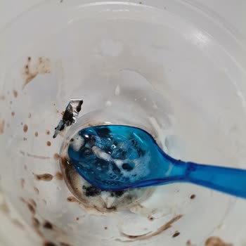 Burger King'de Sufleden Alüminyum Folyo Çıktı, Hijyen Sorunu Var