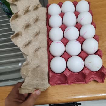 Gıda Güvenliğine Duyarsızlık: Son Kullanım Tarihi Belirsiz Süt Ve Bilgisiz Yumurtalar