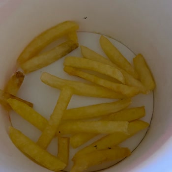 Patates Kızartmasında Ölü Sinekler Ve Hijyen Sorunu