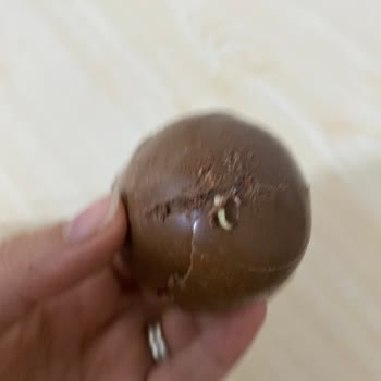 Şok Marketten Aldığım Ozmo Sürpriz Yumurtadan Canlı Kurt Çıktı!