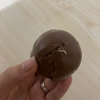 Şok Marketten Aldığım Ozmo Sürpriz Yumurtadan Canlı Kurt Çıktı!